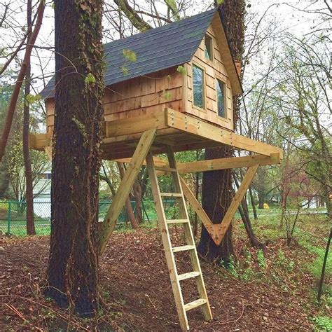 tree house kits including wood